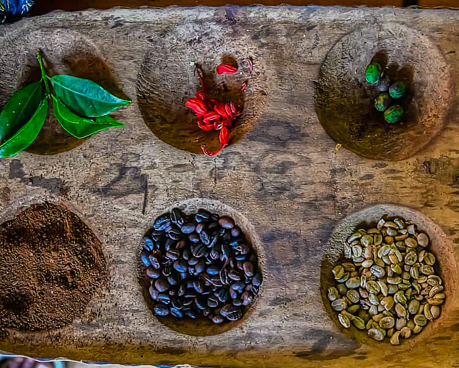 Moshi Coffee Experience