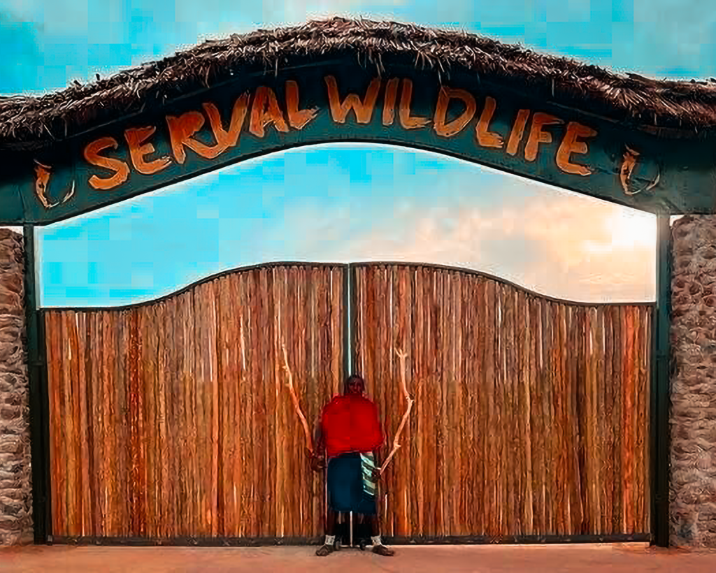 Several Wildlife Tour